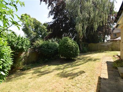 Picture 23